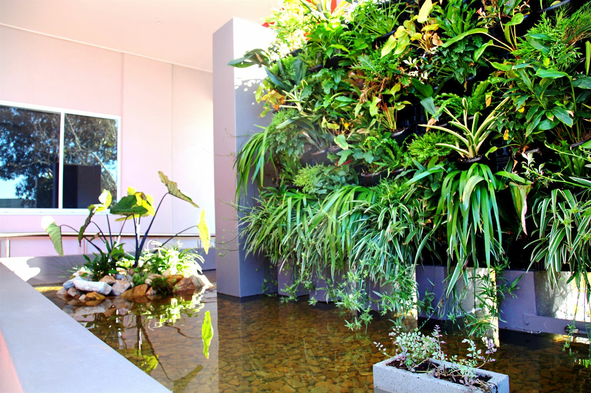 Laguna Serviced Apartments Toowoomba Bagian luar foto